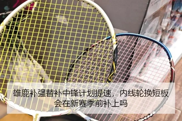 雄鹿补强替补中锋计划提速，内线轮换短板会在新赛季前补上吗